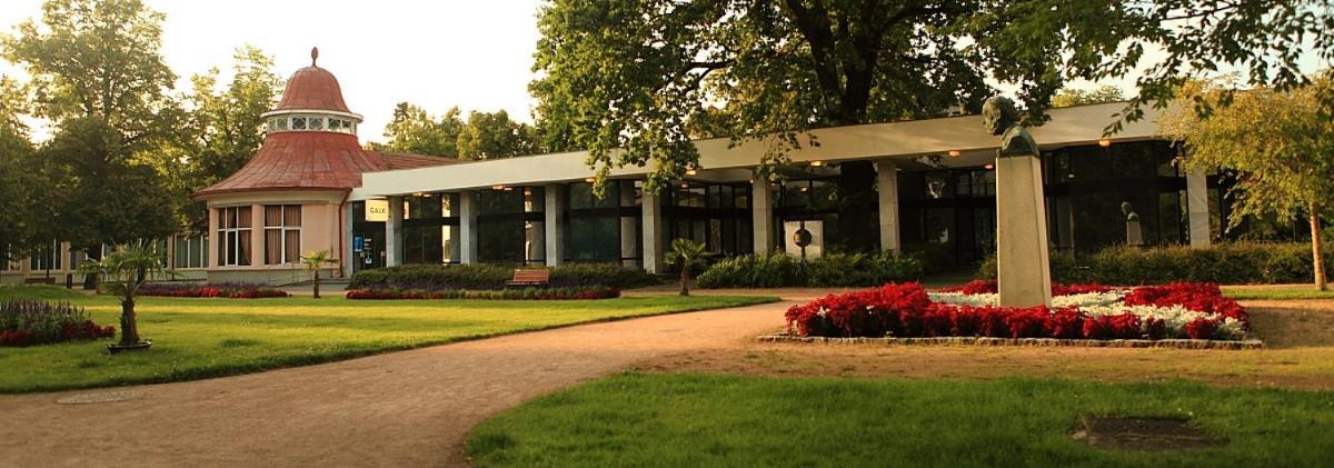 Apartmá v srdci Poděbrad Poděbrady Exterior foto